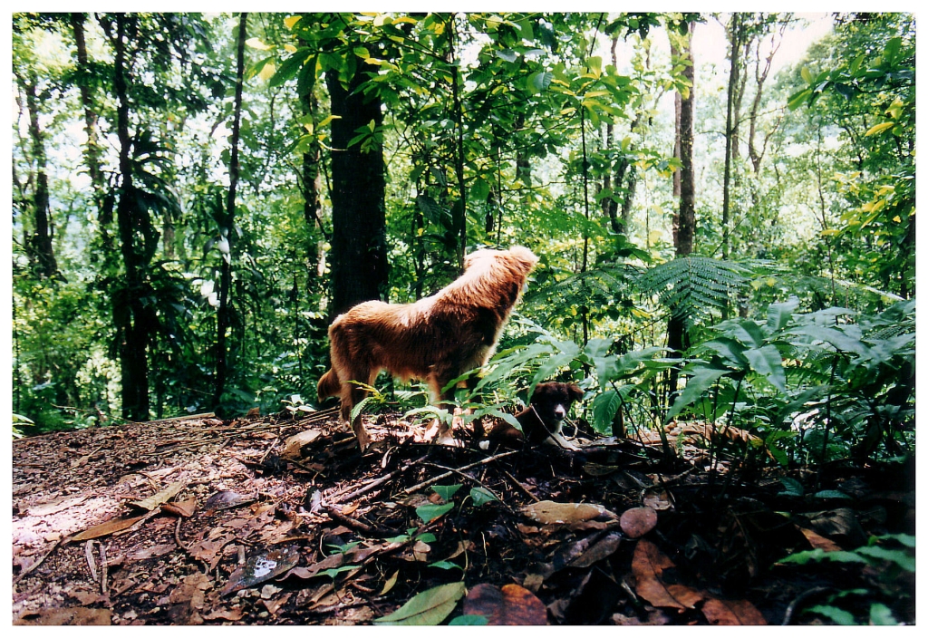 01 - Martinique (7).jpg